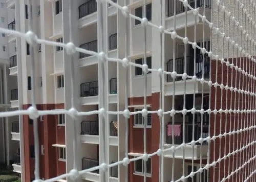 Pigeon Net Installation
